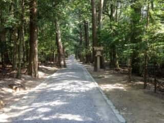 瀧原宮 参道