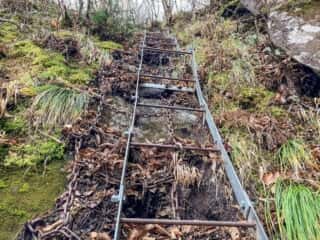 石上登山道
