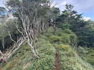 白髪山・平和丸