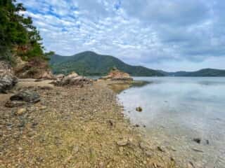 奄美大島 久場立神 千年松跡地
