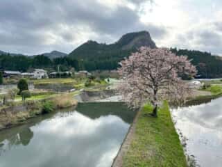 いやしの宿八丁坂〜四国八十八ヶ所霊場 第46番札所 浄瑠璃寺