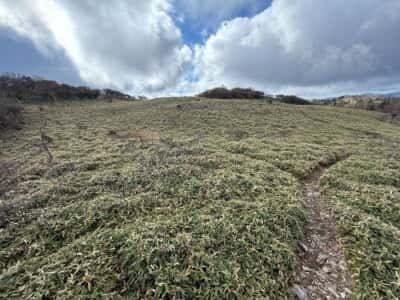 土佐矢筈山・小桧曽山