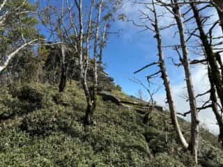 矢筈山・石堂山