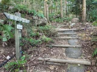 四国八十八ヶ所霊場 第19番札所 立江寺〜第20番札所 鶴林寺