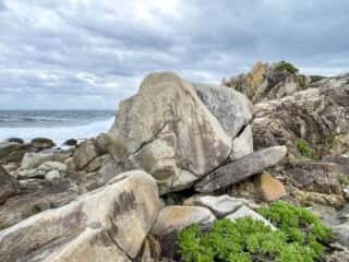 徳之島 ムシロ瀬