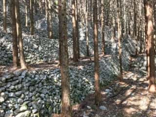 若杉山遺跡