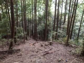 瀧尻王子宮　熊野古道中辺路