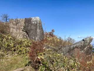 室根山 登山道