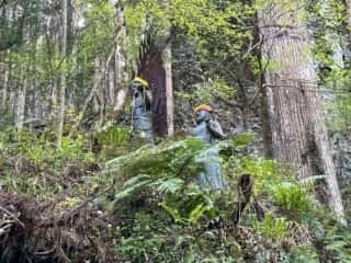 四国八十八ヶ所霊場 第45番札所 岩屋寺