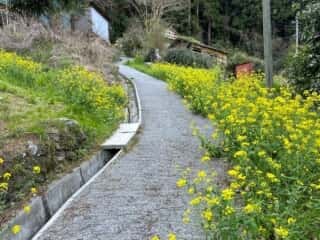 四国八十八ヶ所霊場 第44番札所 大寶寺〜第45番札所 岩屋寺