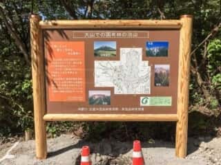 大山登山道