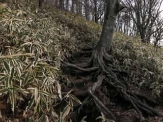 榛名富士　登山道