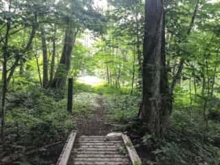 恐山 (大尽山) 登山道