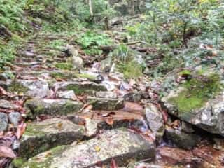 船通山登山道を流れる斐伊川