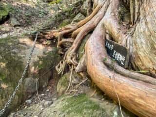 妙義山 登山道