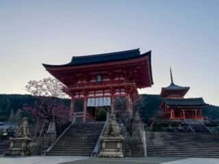 仁王門、西門と三重塔