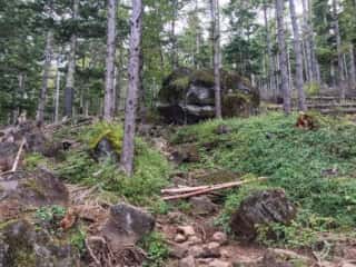 権現岳登山道