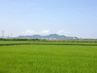 小松島を望む