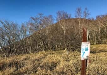 駒ケ岳 登山道