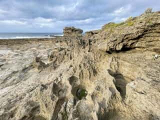 徳之島 みやどばる (犬田布海岸)
