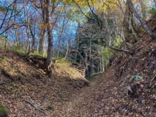 続石への山道