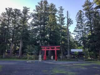 出羽三山神社 境内