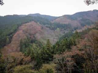 吉水神社からの景色