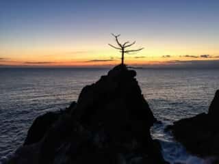 竹ヶ島 元旦の景色 2017
