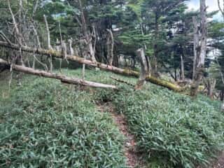 白髪山・平和丸