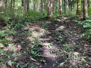 姫神山 登山道