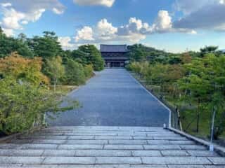 仁和寺　参道