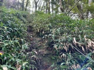 矢筈山・石堂山