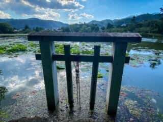 大覚寺　大沢池