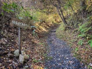 続石への山道