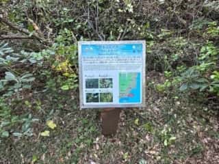 室戸岬ジオパーク