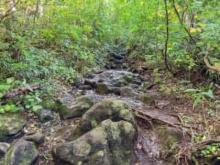 八甲田山 登山道