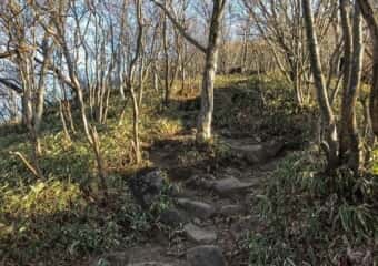 駒ケ岳 登山道