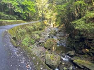 伊予三芳〜四国八十八ヶ所霊場 第60番札所 横峰寺