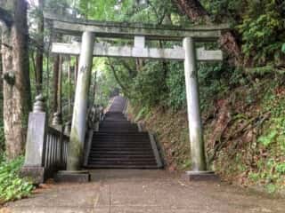 金刀比羅宮　奥の社参道