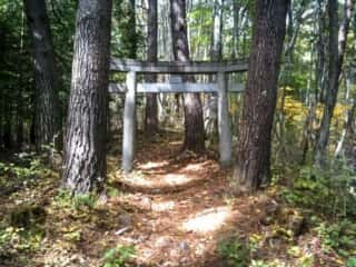 守屋神社　鳥居