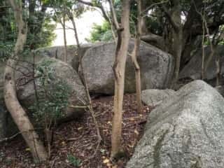 舟木石上神社巨石群