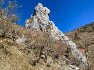鶴石・亀石の岩場