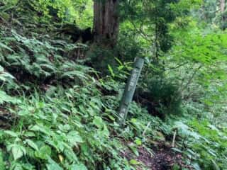 石の塔への山道