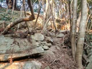 ビシャゴ磯 裏山の巨石群