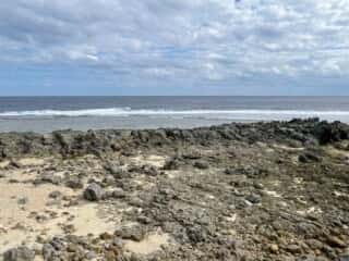 沖永良部島 フーチャ