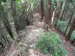 友内山