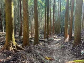 四国八十八ヶ所霊場 第20番札所 鶴林寺〜第21番札所 太龍寺