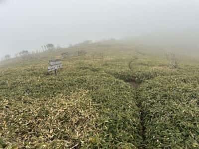 土佐矢筈山・小桧曽山