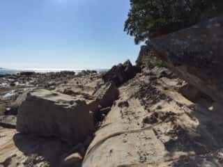 竜串海岸の奇石