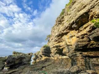 徳之島 みやどばる (犬田布海岸)